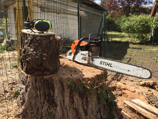 Dessouchage de souches mortes à La Queue-en-Brie dans les Val de Marne 94