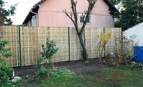 Taille de haies à La Queue-en-Brie dans le Val de Marne 94